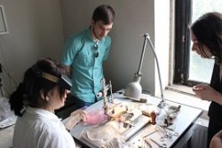 დავით ტვილდიანის უნივერსიტეტის უმაღლესი სამედიცინო სკოლა «აიეტი»–ის სტუდენტთა სამეცნიერო პრაქტიკა